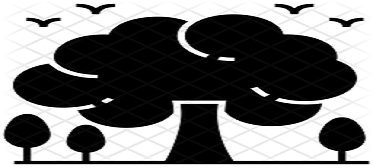 Scenic Infinity Pool